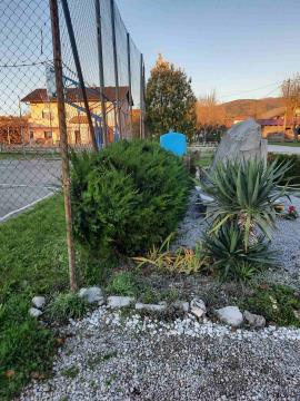 Spomenik v Trnju po obrezovanju_1_114331